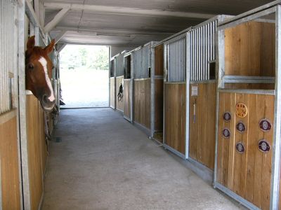 des boxes modernes et de qualite, ecurie lumineuse et aeree, pour les chevaux en pension