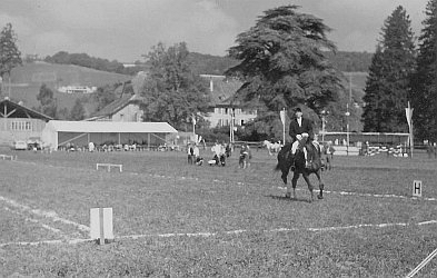 concours de dressage au premier centre equestre entre geneve et lausanne dans les années 60-70