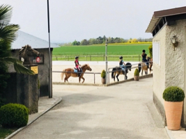 camp d'equitation enfants