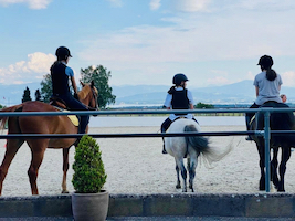 vacances camps ete equitation poney