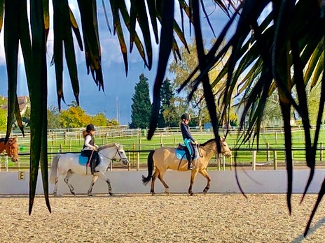 cours d'equitation en groupe dans un carre de sable, enfants sur poneys au poney club de begnins