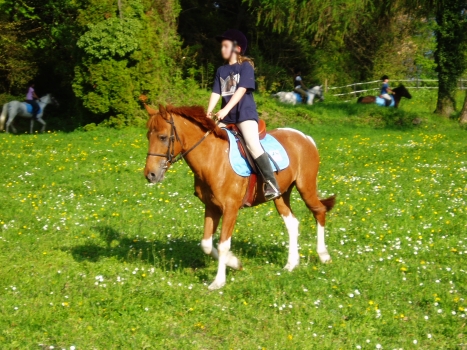 equitation en exterieur, cours sur poney au centre equestre de begnins