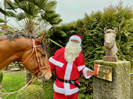 pere noel ecole d'equitation a cheval
